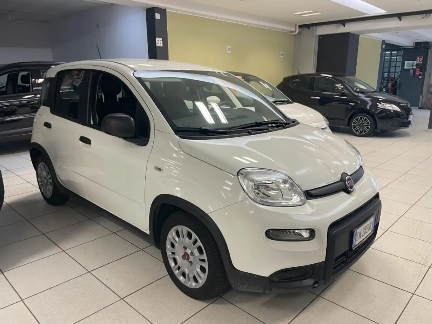 Fiat Panda 1.0 FireFly S&S Hybrid+5posti+RADIO BT Blanco - 2