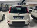 Fiat Panda 1.0 FireFly S&S Hybrid+5posti+RADIO BT Blanco - thumbnail 4