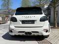 Porsche Cayenne Hamann Guardian I Widebody - Cayenne II S Hybrid PHEV Aut. S Weiß - thumbnail 7