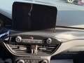 Ford Kuga Kuga  2020 2.5 full hybrid ST-Line X 190cv cvt Grigio - thumbnail 10