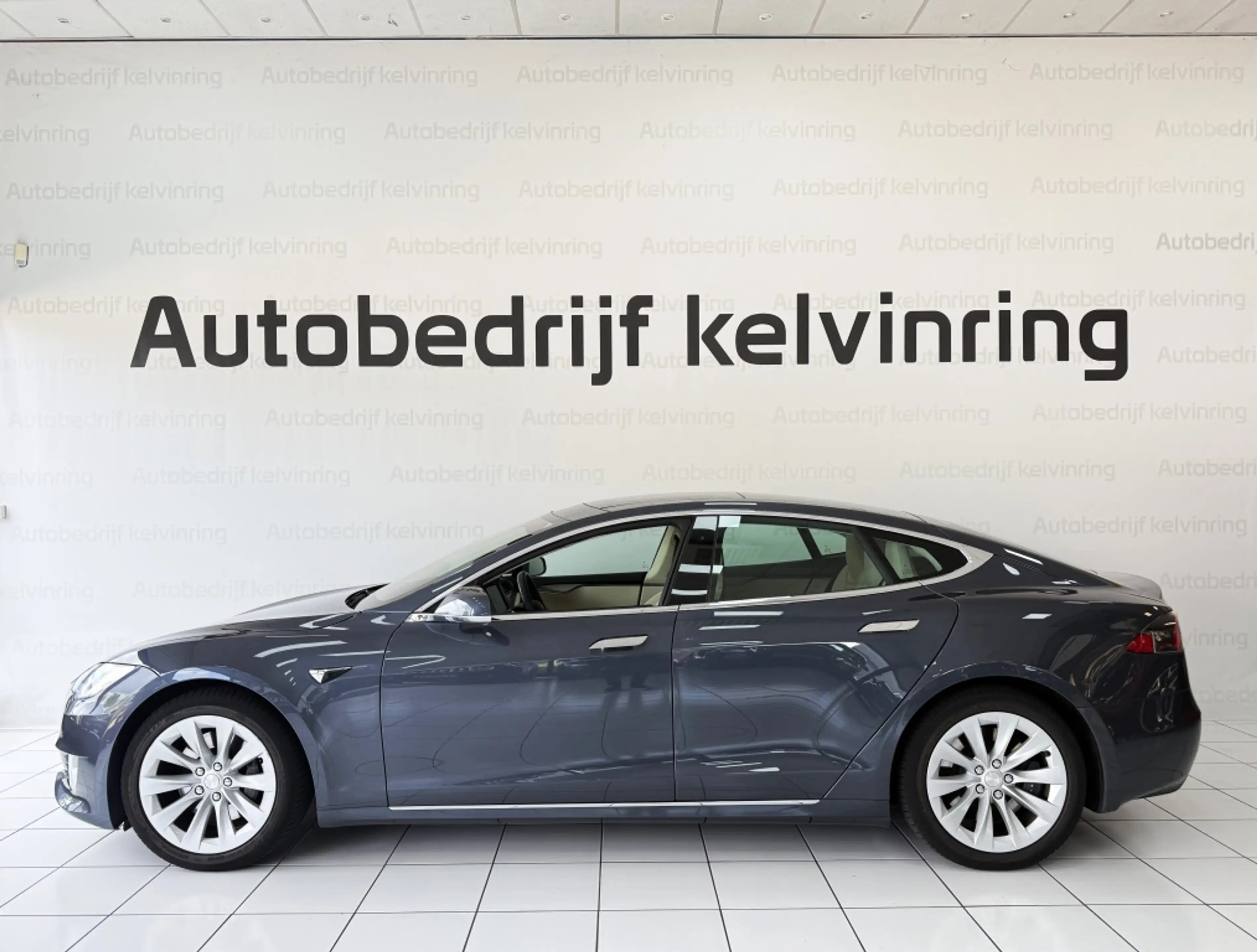 Tesla Model S 100D Panoramadak — photo 6