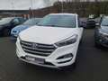 Hyundai TUCSON Passion + 4WD + AHK abnehmbar Weiß - thumbnail 11