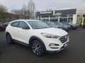 Hyundai TUCSON Passion + 4WD + AHK abnehmbar Weiß - thumbnail 1