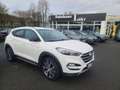 Hyundai TUCSON Passion + 4WD + AHK abnehmbar Weiß - thumbnail 17