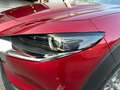 Mazda CX-30 2.0 m-hybrid Exceed 2wd 150cv 6mt - NAV/CAMERA360 Rosso - thumbnail 16