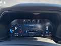 Ford Raptor e-4WD Doppelkabine Sportpaket Bluetooth LED Gris - thumbnail 18