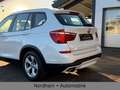 BMW X3 xDrive*NAVI*SHZ*AHK*TEMPO*PDC*LEDER*ALO* Weiß - thumbnail 8