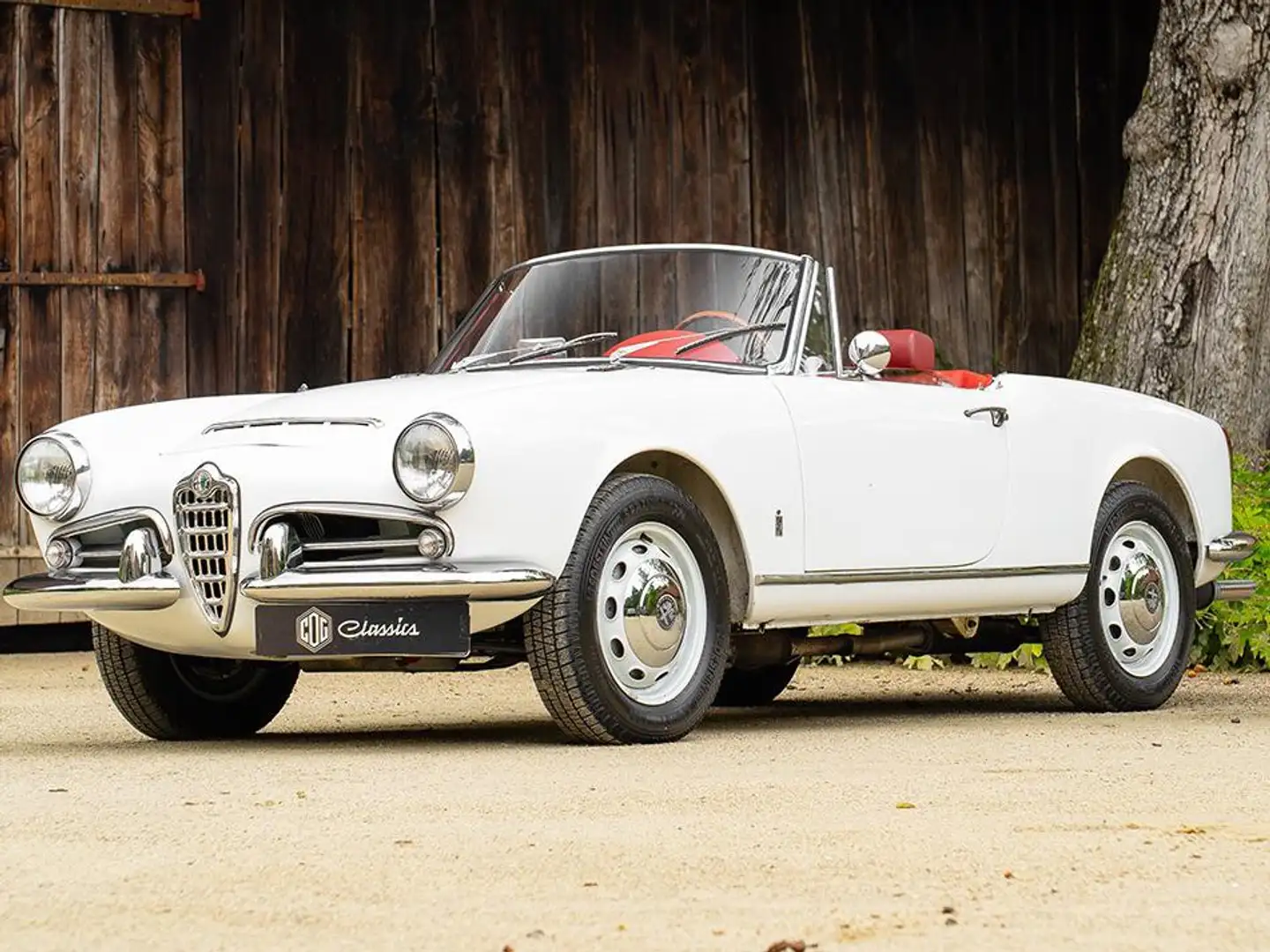 Alfa Romeo Giulia Giulia Spider 1600 - Restaurierter Zustand! Weiß - 2