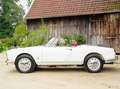 Alfa Romeo Giulia Giulia Spider 1600 - Restaurierter Zustand! Weiß - thumbnail 6