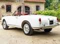 Alfa Romeo Giulia Giulia Spider 1600 - Restaurierter Zustand! Weiß - thumbnail 7