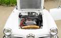 Alfa Romeo Giulia Giulia Spider 1600 - Restaurierter Zustand! Weiß - thumbnail 38