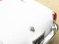 Alfa Romeo Giulia Giulia Spider 1600 - Restaurierter Zustand! Weiß - thumbnail 18