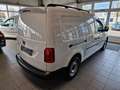 Volkswagen Caddy N1 Maxi Kasten NAVI KAM ZAHNRIEMEN NEU Blanc - thumbnail 3