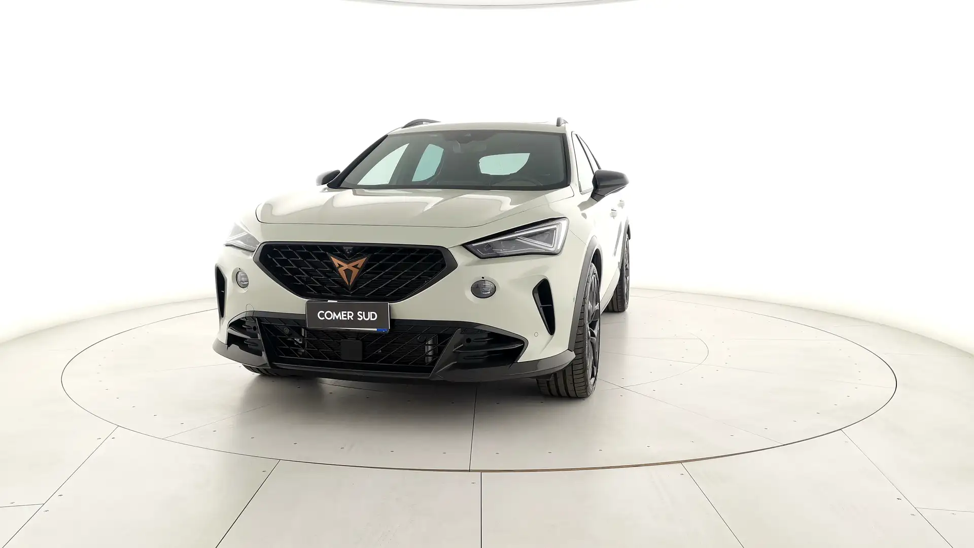 CUPRA Formentor 2.5 TSI VZ5 Taiga Grey Beige - 1