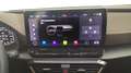 CUPRA Formentor 2.5 TSI VZ5 Taiga Grey Beige - thumbnail 16