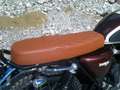 Mash Fifty Scrambler Brown - thumbnail 12