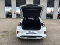 Ford Puma ST-Line + Winter Paket + Ganzjahresreifen Blanc - thumbnail 21