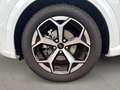 Ford Puma ST-Line + Winter Paket + Ganzjahresreifen Blanc - thumbnail 9
