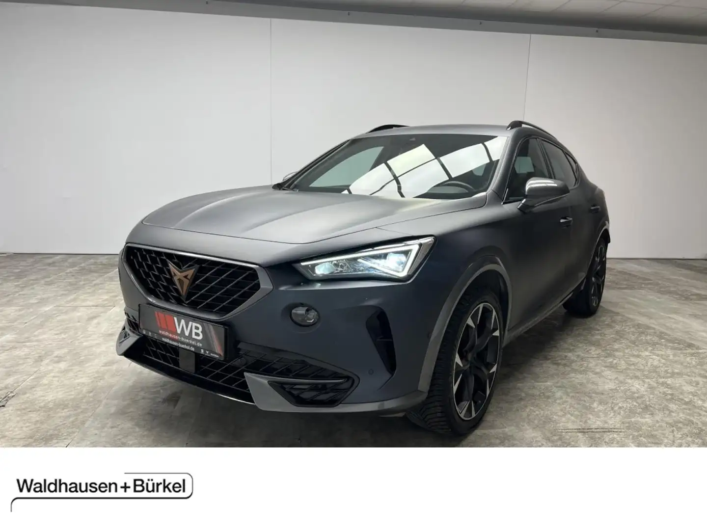 CUPRA Formentor 1.5 TSI DSG Leder+Kamera Klima Navi Leder Gris - 1