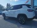 Jeep Compass 2.0 mjt Trailhawk 4wd active drive low 170cv autto Bianco - thumbnail 4