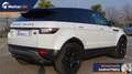 Land Rover Range Rover Evoque 2.0 TD4 150 CV 5p. Pure Grau - thumbnail 6