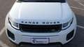 Land Rover Range Rover Evoque 2.0 TD4 150 CV 5p. Pure Grau - thumbnail 16