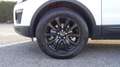 Land Rover Range Rover Evoque 2.0 TD4 150 CV 5p. Pure Grau - thumbnail 33