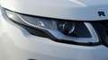 Land Rover Range Rover Evoque 2.0 TD4 150 CV 5p. Pure Grau - thumbnail 20