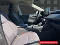 Toyota RAV 4 RAV4 2.5 HYBRID 4X2 *TeamD + Technik Paket Gris - thumbnail 10
