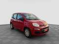 Fiat Panda Pandina 1.0 FireFly 65 CV Hybrid Icon Rot - thumbnail 6