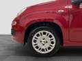 Fiat Panda Pandina 1.0 FireFly 65 CV Hybrid Icon Rot - thumbnail 9