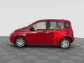 Fiat Panda Pandina 1.0 FireFly 65 CV Hybrid Icon Rot - thumbnail 2