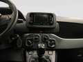 Fiat Panda Pandina 1.0 FireFly 65 CV Hybrid Icon Rot - thumbnail 11