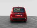 Fiat Panda Pandina 1.0 FireFly 65 CV Hybrid Icon Rot - thumbnail 8