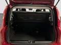 Fiat Panda Pandina 1.0 FireFly 65 CV Hybrid Icon Rot - thumbnail 15