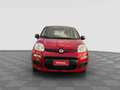 Fiat Panda Pandina 1.0 FireFly 65 CV Hybrid Icon Rot - thumbnail 7