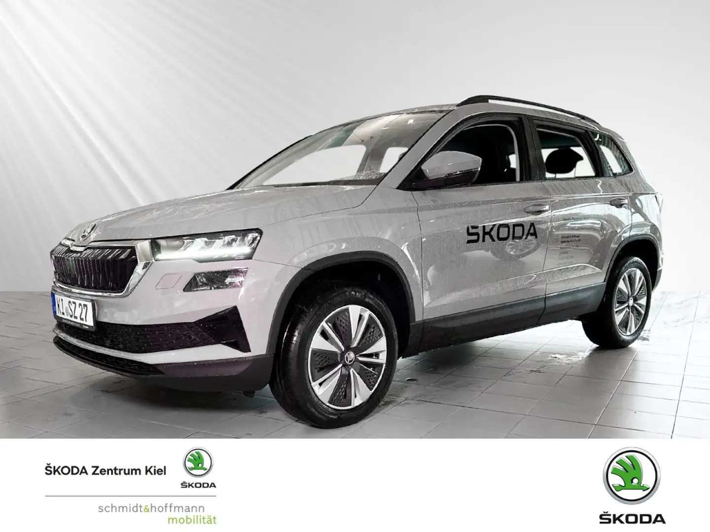 Skoda Karoq 1.5 TSI ACT Selection OPF (EURO 6d) Klima Grau - 1