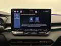 CUPRA Terramar 1.5 e-TSI 150 PS DSG Grau - thumbnail 22