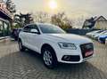 Audi Q5 2.0TDI quattro BiXenon Automatik 1.Hd Scheckh Wit - thumbnail 4
