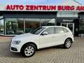 Audi Q5 2.0TDI quattro BiXenon Automatik 1.Hd Scheckh Wit - thumbnail 1