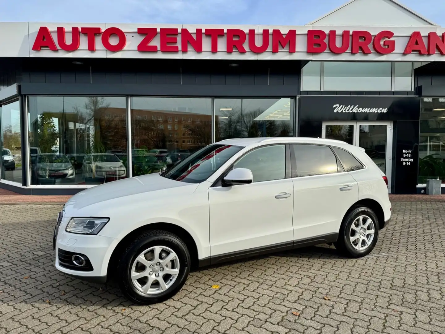 Audi Q5 2.0TDI quattro BiXenon Automatik 1.Hd Scheckh Blanc - 1