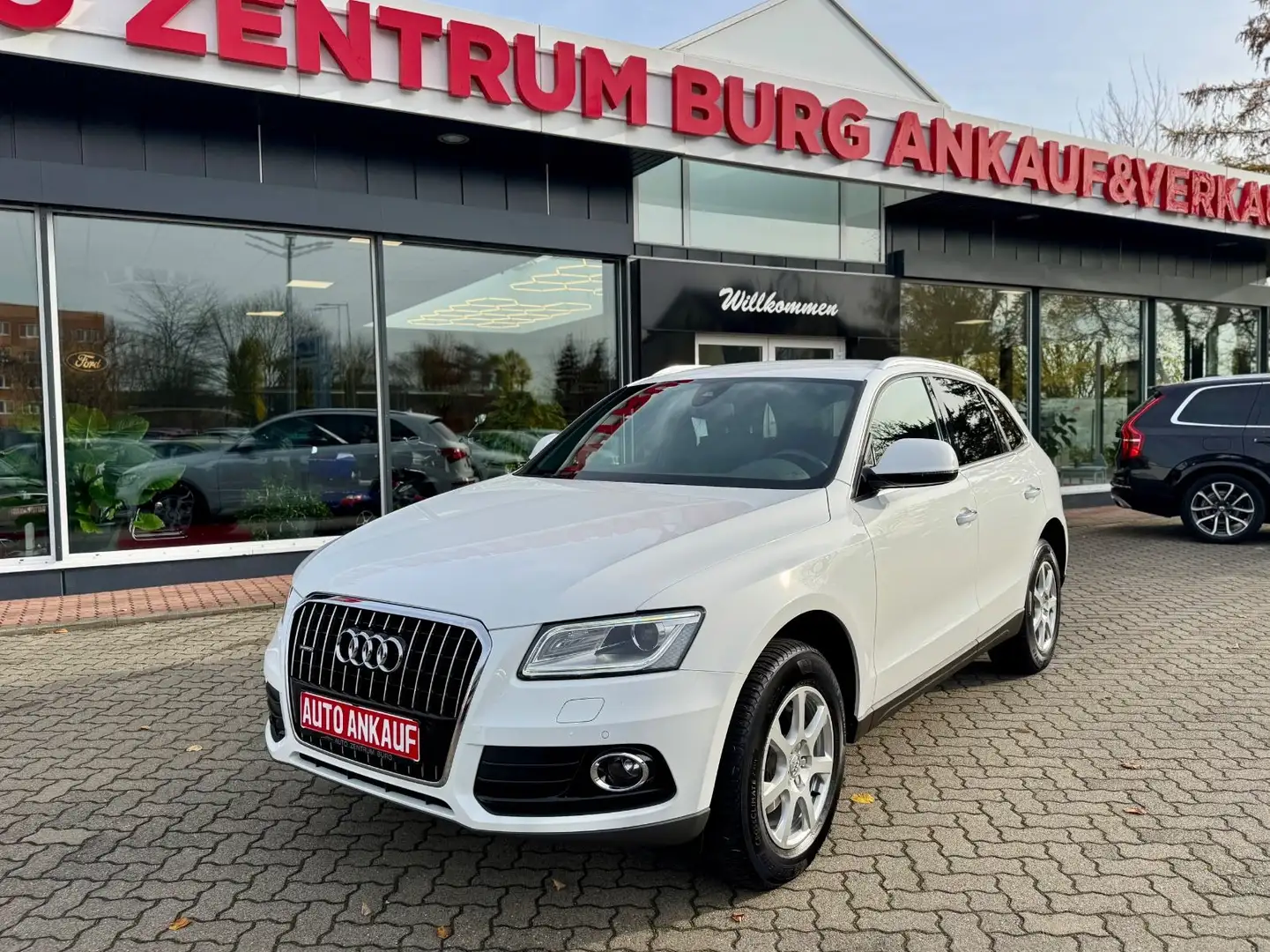 Audi Q5 2.0TDI quattro BiXenon Automatik 1.Hd Scheckh Blanc - 2