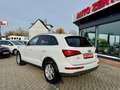 Audi Q5 2.0TDI quattro BiXenon Automatik 1.Hd Scheckh Wit - thumbnail 8