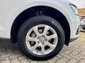 Audi Q5 2.0TDI quattro BiXenon Automatik 1.Hd Scheckh Wit - thumbnail 21