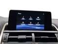 Lexus NX 300 300h Premium 2WD Gris - thumbnail 12