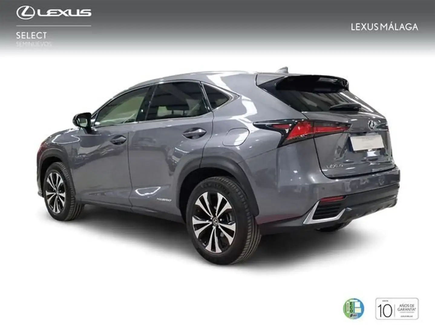 Lexus NX 300 300h Premium 2WD Gris - 2