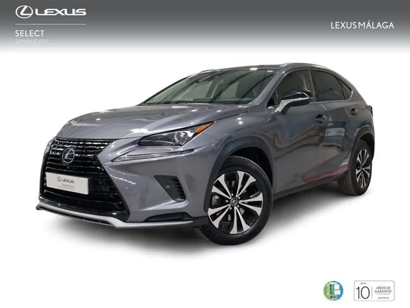 Lexus NX 300 300h Premium 2WD Gris - 1