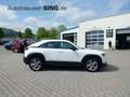 Mazda MX-30 Elektro Basis Head-Up Klima AppleCar Navi Weiß - thumbnail 6