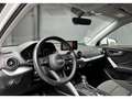 Audi Q2 1.5 35 TFSI COD - 150 - BV S-tronic  Sport PHASE 1 Grigio - thumbnail 8