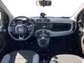 Fiat Panda 1.0 FireFly S&S Hybrid City Life Blanc - thumbnail 13